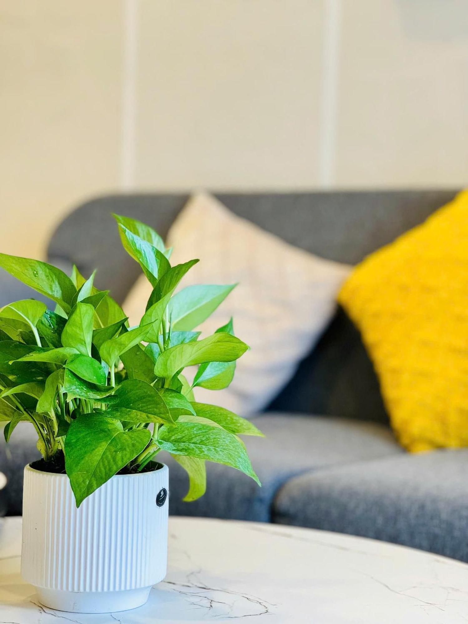 Soho Apt - Luxury Stay, Next To Benthanh Market Πόλη Χο Τσι Μινχ Εξωτερικό φωτογραφία